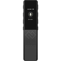 Digma DiVoice RV70