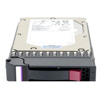 HP 613922R-001 600GB