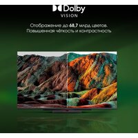 Digma Pro UHD 55C Image #8