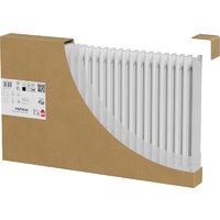 Royal Thermo Insignia C3030 - 42 секций RAL9016 Image #4