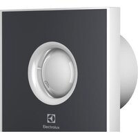 Electrolux Rainbow EAFR-100 (темно-серый)