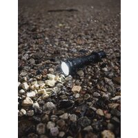 Armytek Predator Pro Magnet USB (белый) Image #8