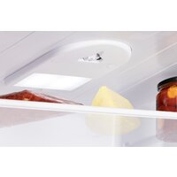 Nord (Nordfrost) NRB 164NF X Image #6