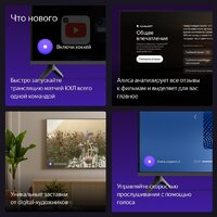 Яндекс ТВ Станция Бейсик с Алисой 65 YNDX-00077 Image #10