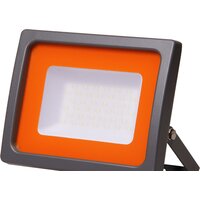 JAZZway PFL-SC 100W