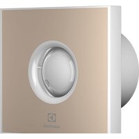Electrolux Rainbow EAFR-100 (бежевый)