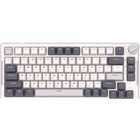 Royal Kludge RK-H81 RGB White Night (RK Blue) Image #2