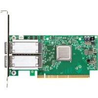Mellanox MCX556A-ECAT