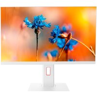 ТЕСЛА P24WP 2116500