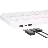 Royal Kludge RK100 RGB (белый, RK Brown) Image #5