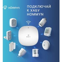 Hommyn TS-20-Z Image #7
