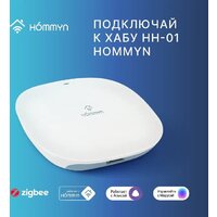 Hommyn TS-20-Z Image #6