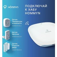 Hommyn WS-20-Z Image #10