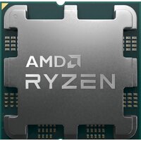 AMD Ryzen 9 9900X3D