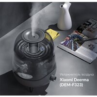Deerma DEM-F323W (международная версия) Image #3