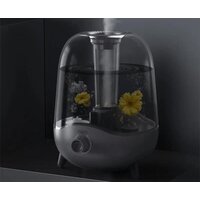 Deerma DEM-F323W (международная версия) Image #11