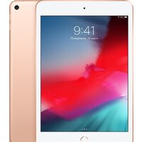 Apple iPad mini 2019 256GB MUU62 (золотой) Image #1