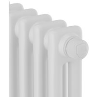 Royal Thermo Insignia VC2050 - 28 секций RAL9016 Image #3