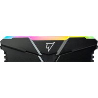 Netac Shadow RGB 8ГБ DDR4 2666 МГц NTSRD4P26SP-08E