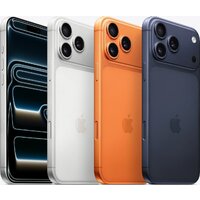 Apple iPhone 17 Pro Max Dual SIM 1TB (серебристый) Image #5